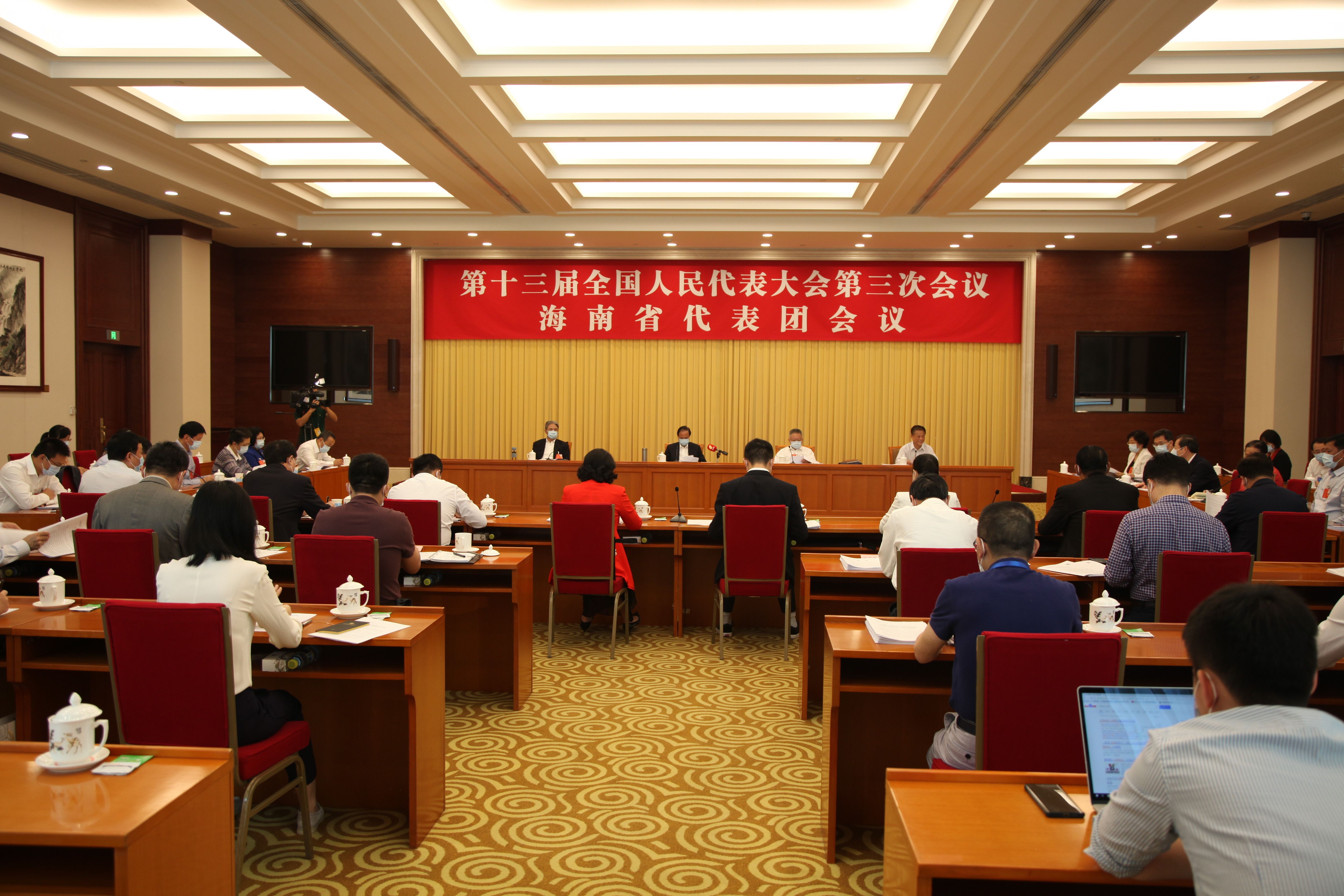 5月28日上午，海南代表团审议通过各项决议 张旭图 (6)